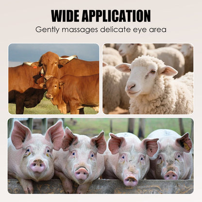 🔥 Hot Sale 🔥Efficient Livestock Hair Removal Scraper